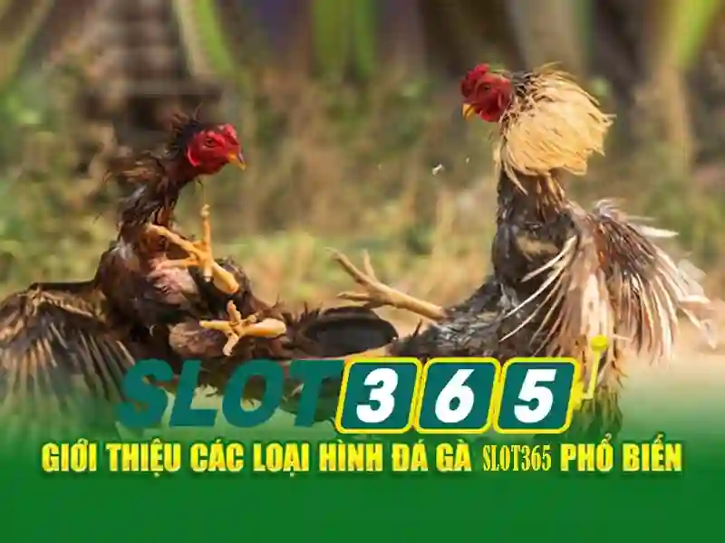 Trải Nghiệm Slot365 Bị Chặn – Giải Pháp Tối Ưu