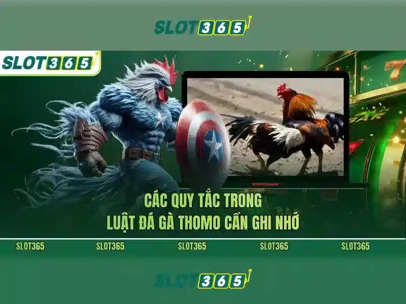 Phiên bản mới Slot365