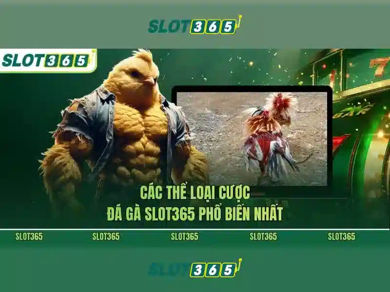 Trải nghiệm chơi slot không bị chặn