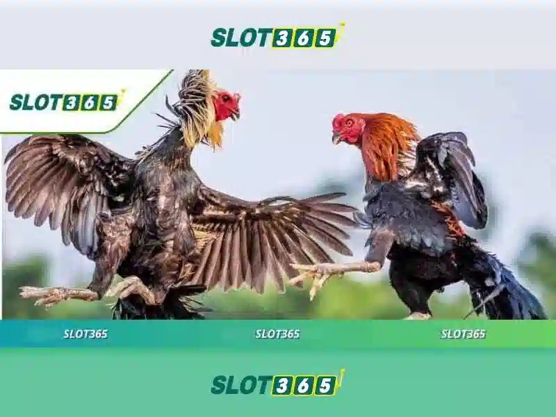 SLOT365 Free – Trải Nghiệm Game Slot Đỉnh Cao Cho Người Chơi 2026