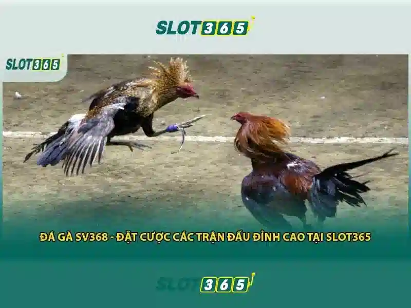 Giải Pháp Tối Ưu Cho Người Chơi SLOT