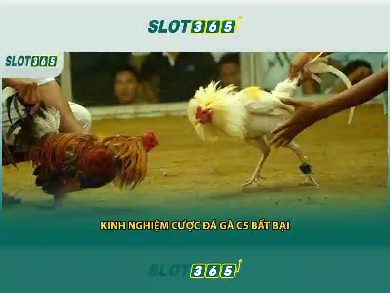 Link Vào Trang Chủ Slot365