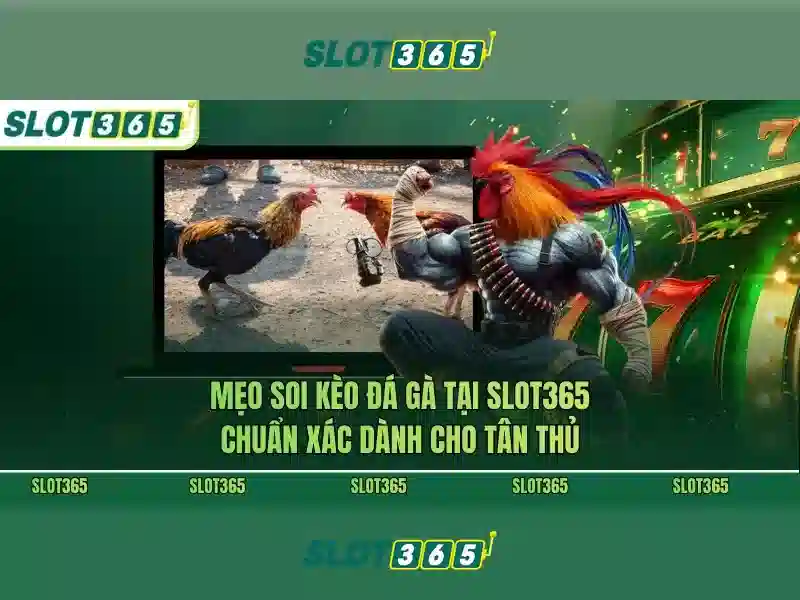 SLOT365 Nền Tảng Cung Cấp