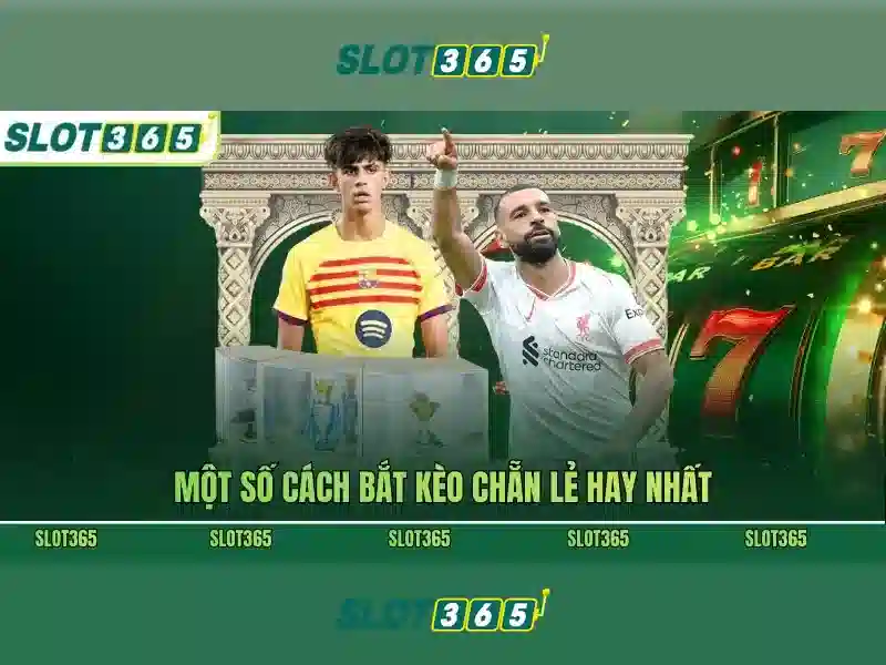 Hướng dẫn sử dụng code Slot365 mới nhất 2026