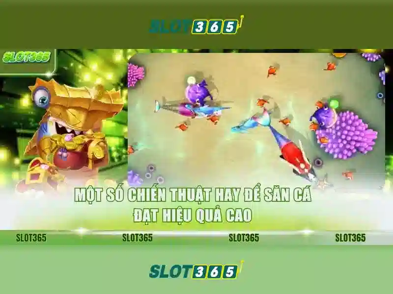 Đặc Điểm Slot365