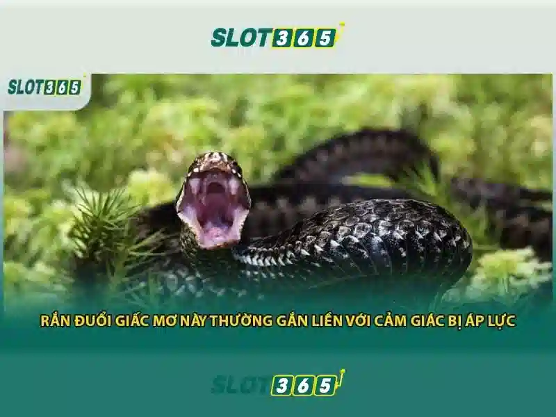 Chiến Thuật Chơi Slot Hiệu Quả Với slot365 iOS