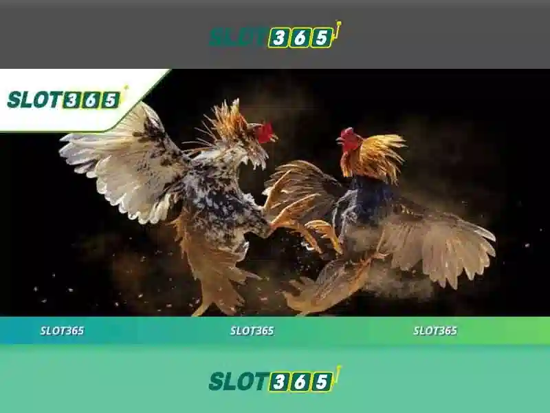 Khuyến mãi Slot365