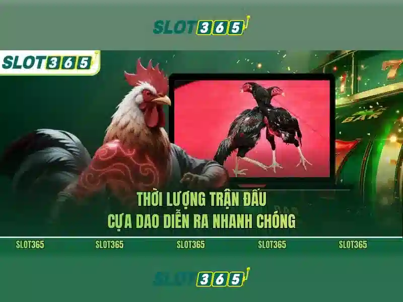 Quy định nạp rút SLOT365
