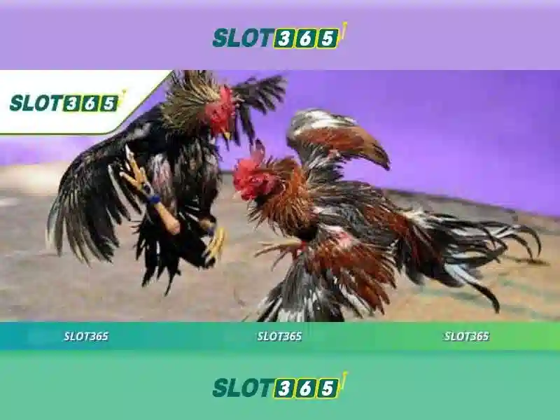 Đa Dạng Trò Chơi Slot365