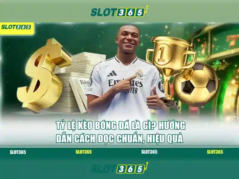 SLOT365 – Trải Nghiệm Cá Cược Trực Tuyến