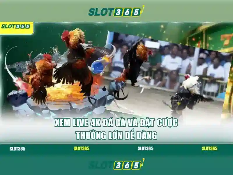 SLOT365