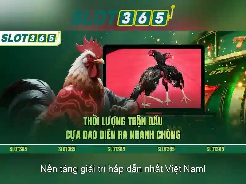 SLOT365 – Link Slot365 Chính Thức Không Bị Chặn 2026 | Trải Nghiệm Slot Game Đỉnh Cao
