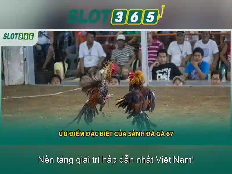 Slot365 chính thức khai trương 2026