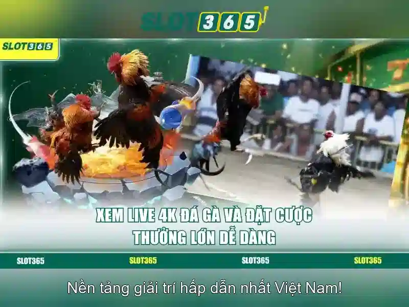 Trải Nghiệm Người Chơi Slot365