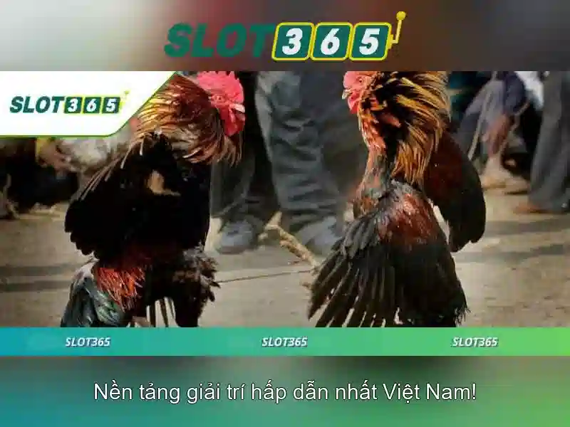 Trải nghiệm Slot365