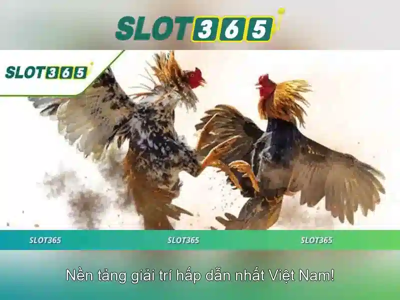 Cách Đăng Ký Thành Viên Slot365