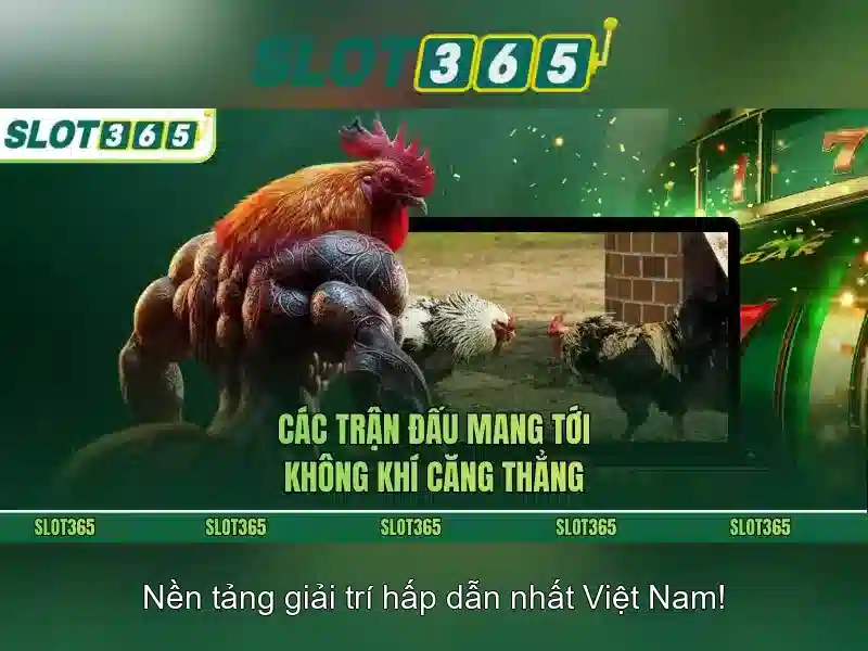 Hướng Dẫn Slot365