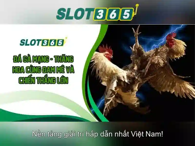 slot365 uy tín