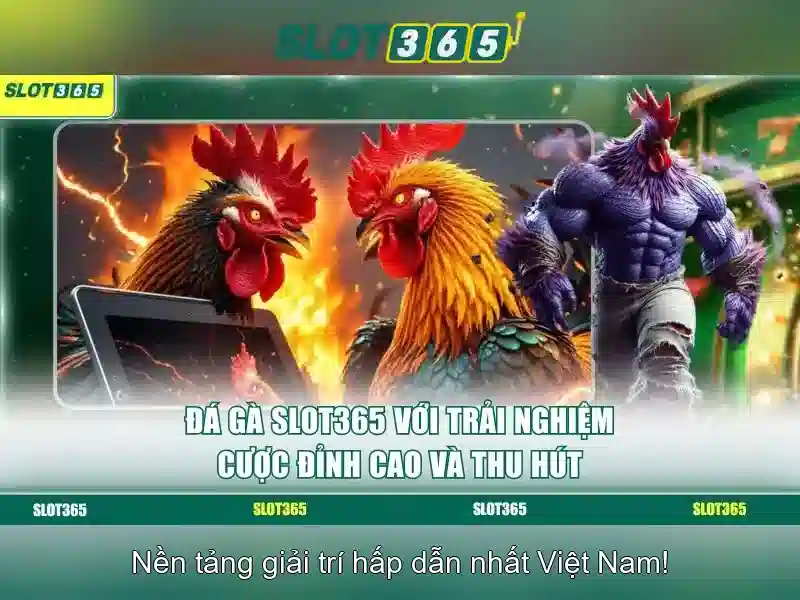 SLOT365 Ứng Dụng Di Động