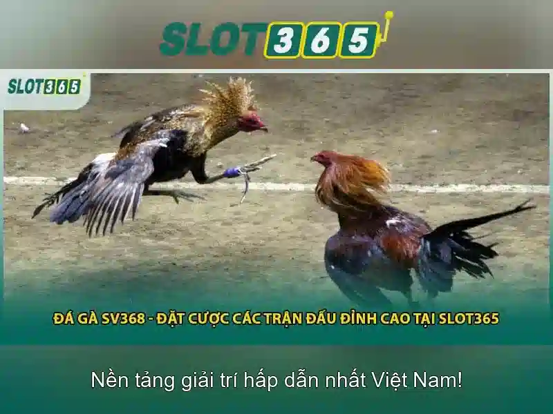 Slot365 Gaming
