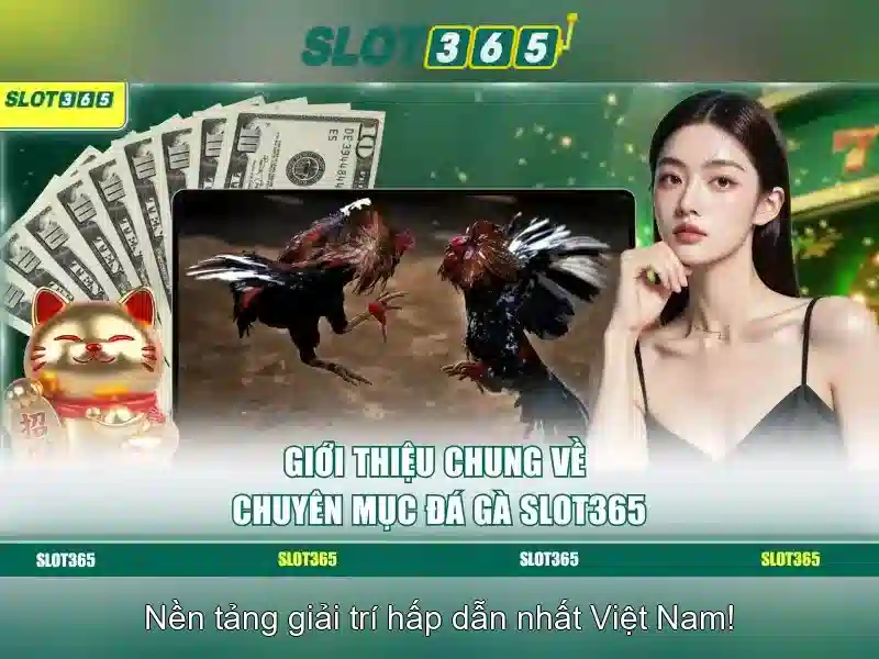 Chương Trình Khuyến Mãi Slot365