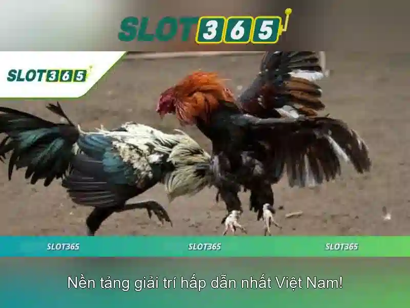Quy Trình Nạp Rút Nhanh Chóng