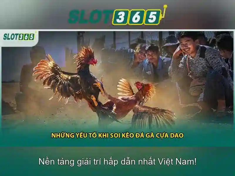 Slot365 Free