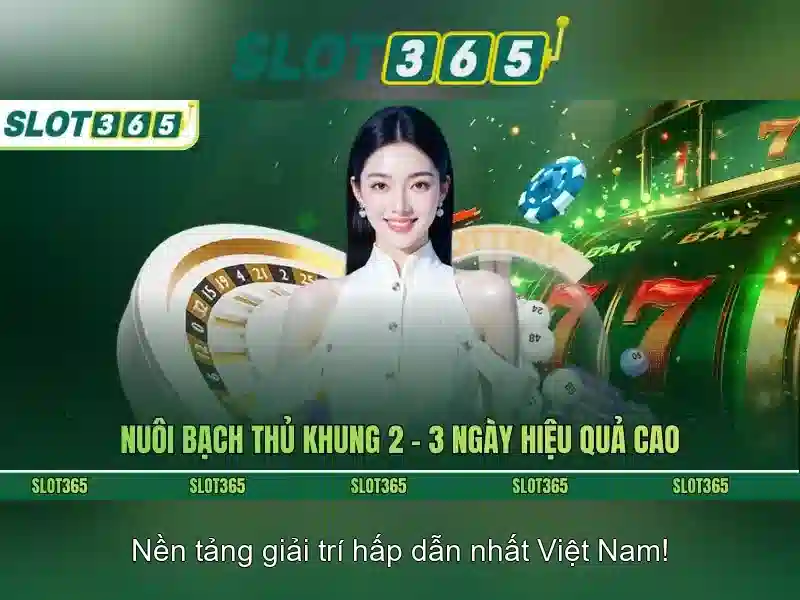 Slot365 hợp pháp