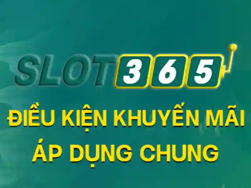 Trải nghiệm cá cược thể thao trực tuyến