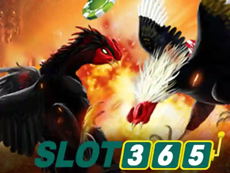 slot365 – Đa Dạng Trò Chơi Slot & Casino