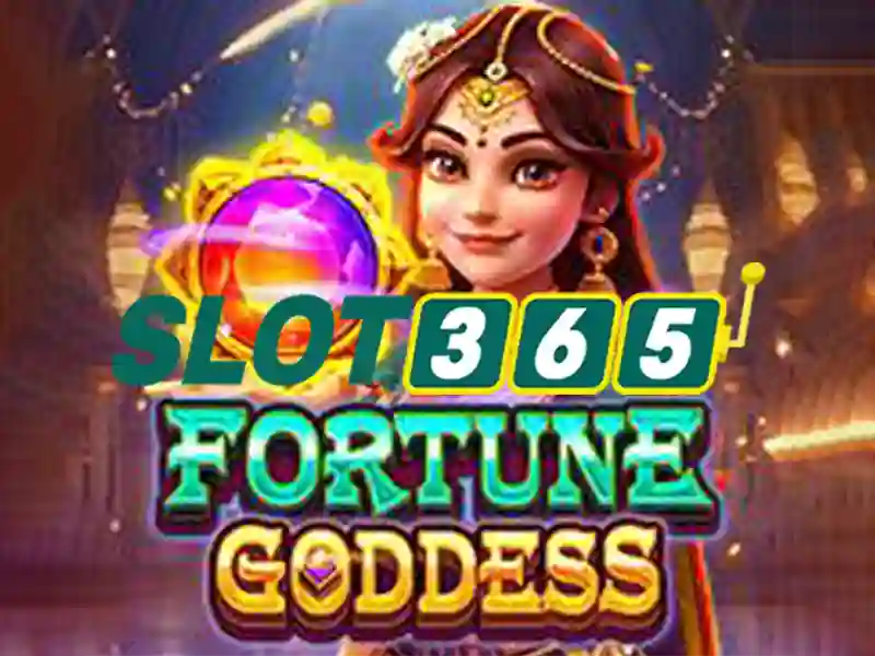 slot365 tặng quà